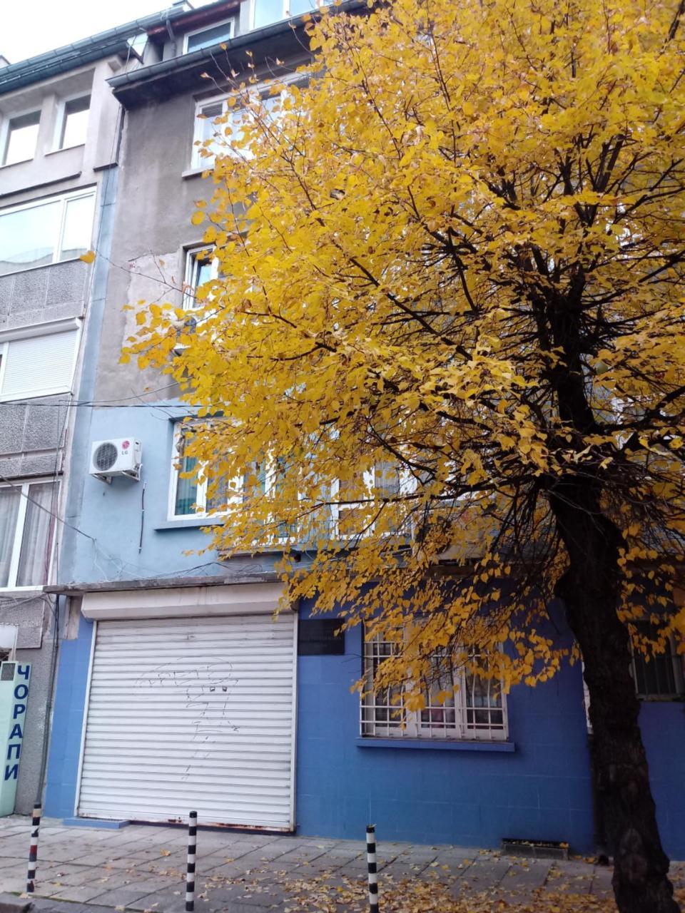 Atelier 9 - Art Mansard Studio Sofia Exterior foto
